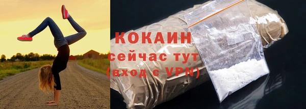меф Гатчина